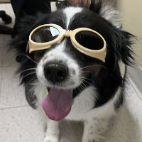 Laser Therapy Services